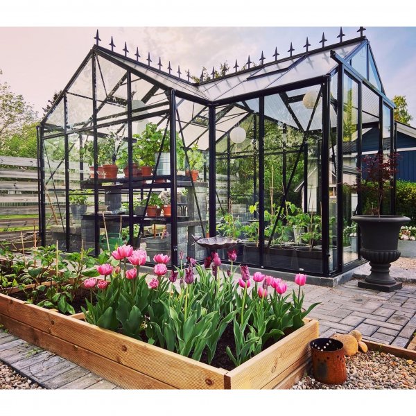 T-formet drivhus i glass 12,8m² | 4mm sikkerhetsglass | 5 års stormgaranti T-formet drivhus i glass 12,8m² | 4mm sikkerhetsglass | 5 års stormgaranti