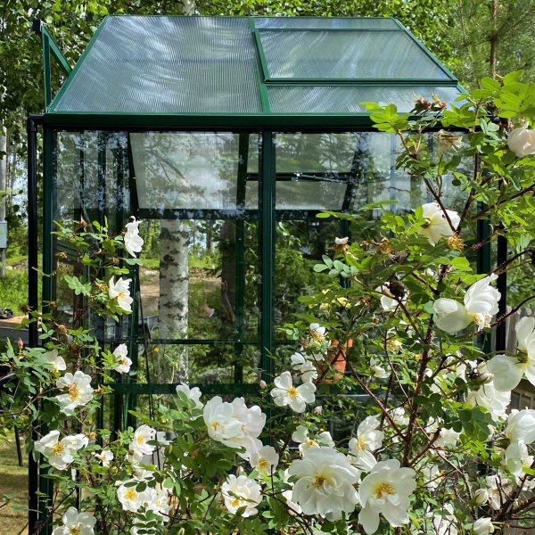 Drivhus 3,3m | 4mm sikkerhetsglass | 5 rs stormgaranti