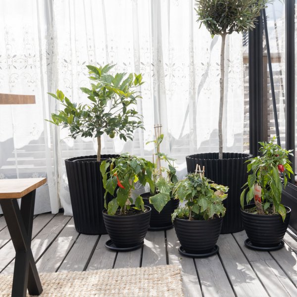 Orangeri og vinterhage 19,2m² | Firkantet premium drivhus Orangeri og vinterhage 19,2m² | Firkantet premium drivhus