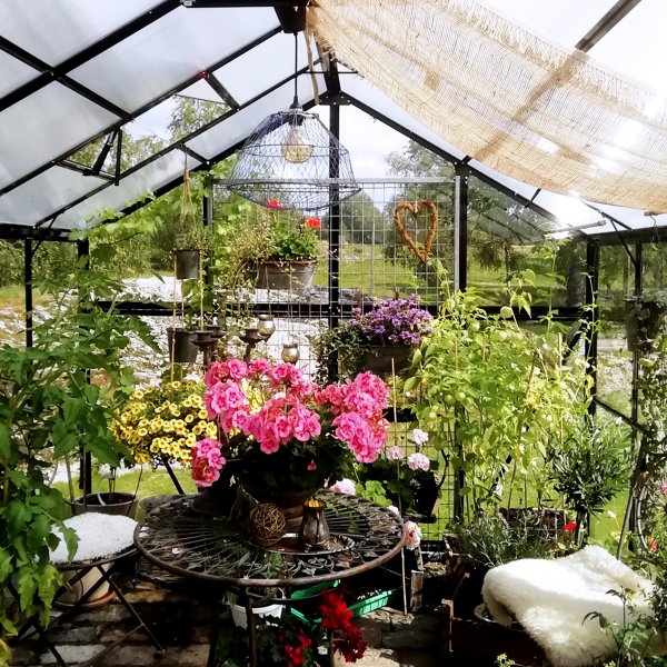 Drivhus i glass 11,1m² | 4mm sikkerhetsglass | 5 års stormgaranti Drivhus i glass 11,1m² | 4mm sikkerhetsglass | 5 års stormgaranti