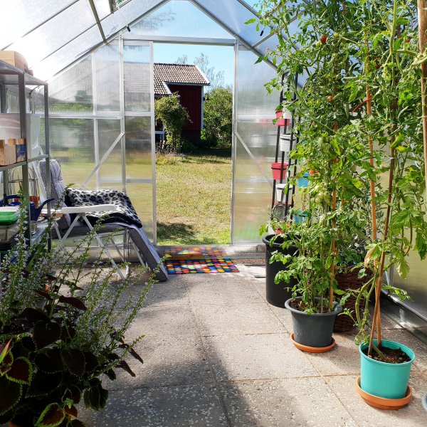 Drivhus 12,4m | Hy dyrkingshyde | 6mm kanal plast