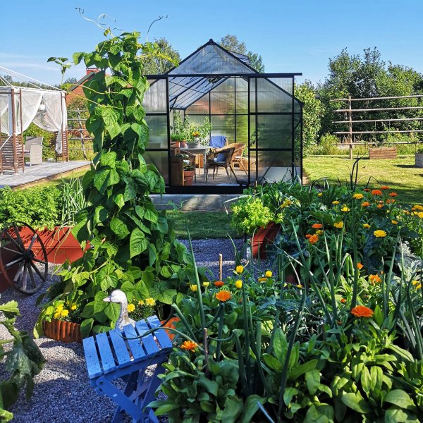 Drivhus 18m Premium | Ekstra hy dyrkingshyde | 6mm kanal plast