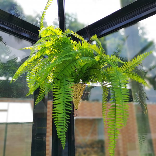 Paviljong 17,6 m� | Stort premium drivhus | 4 mm sikkerhetsglass