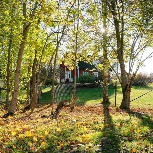 Villa gjerde 150cm h�yt | 100 meter pakke