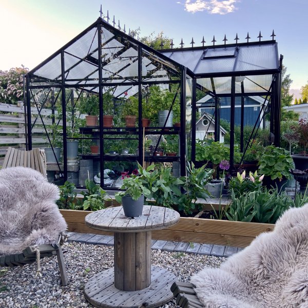 T-formet drivhus i glass 12,8m² | 4mm sikkerhetsglass | 5 års stormgaranti T-formet drivhus i glass 12,8m² | 4mm sikkerhetsglass | 5 års stormgaranti