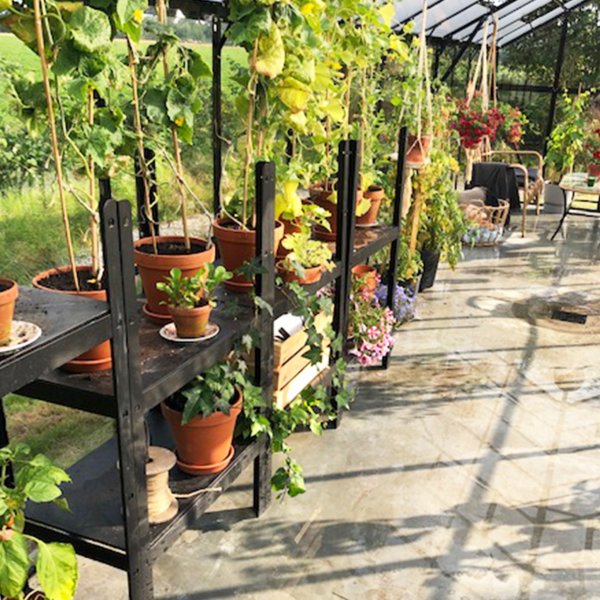 Drivhus i glass 19m� | 5 �rs stormgaranti | 4 mm sikkerhetsglass