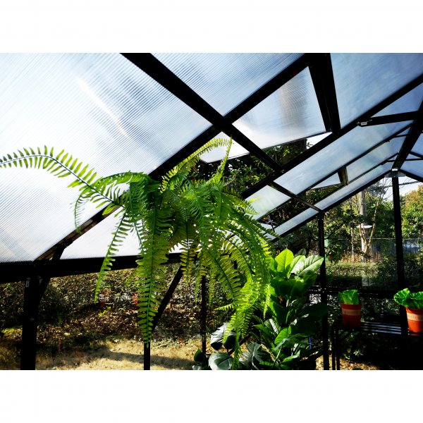 Drivhus 14,4m� | 4mm sikkerhetsglass | 5 �rs stormgaranti